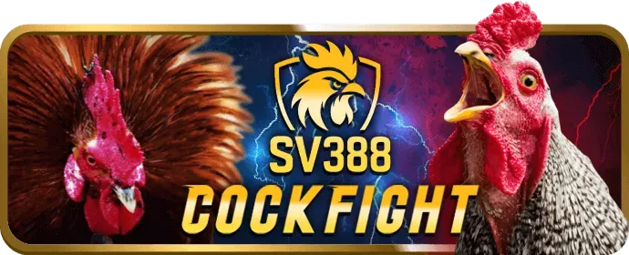 Kèo BĐD trong đá gà acb888 code